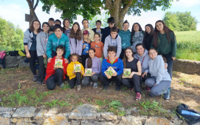 Deporte Escolar Fiesta Final en Estibaliz