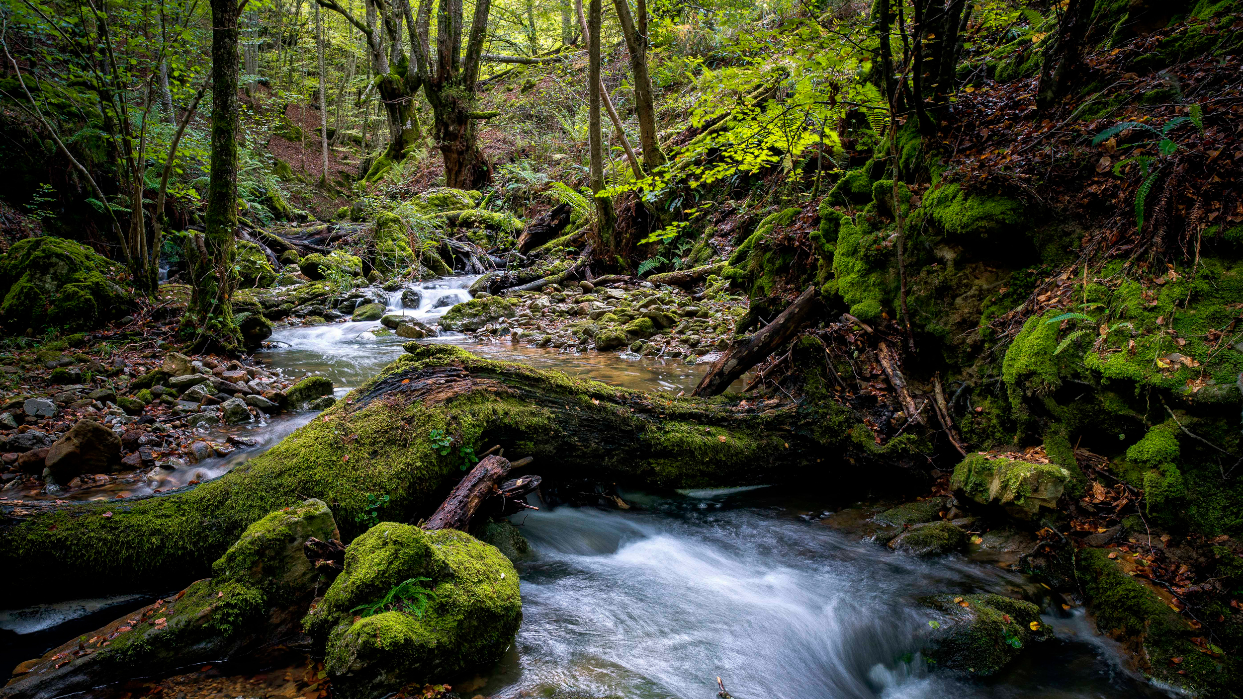 Arabako Ibilbideak · Antonio Bejarano
