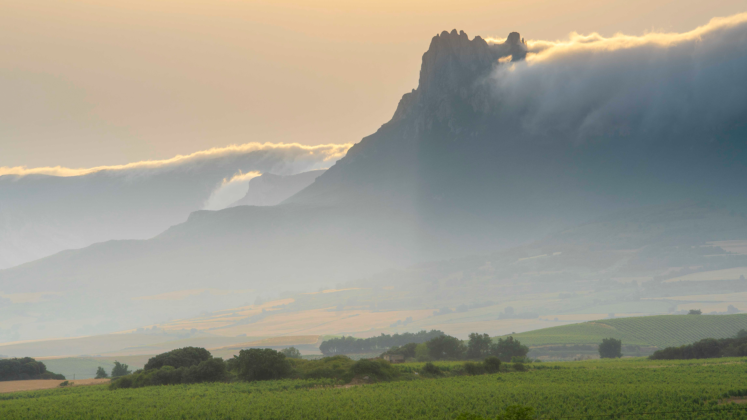 Monte Palomares · Antonio Bejarano
