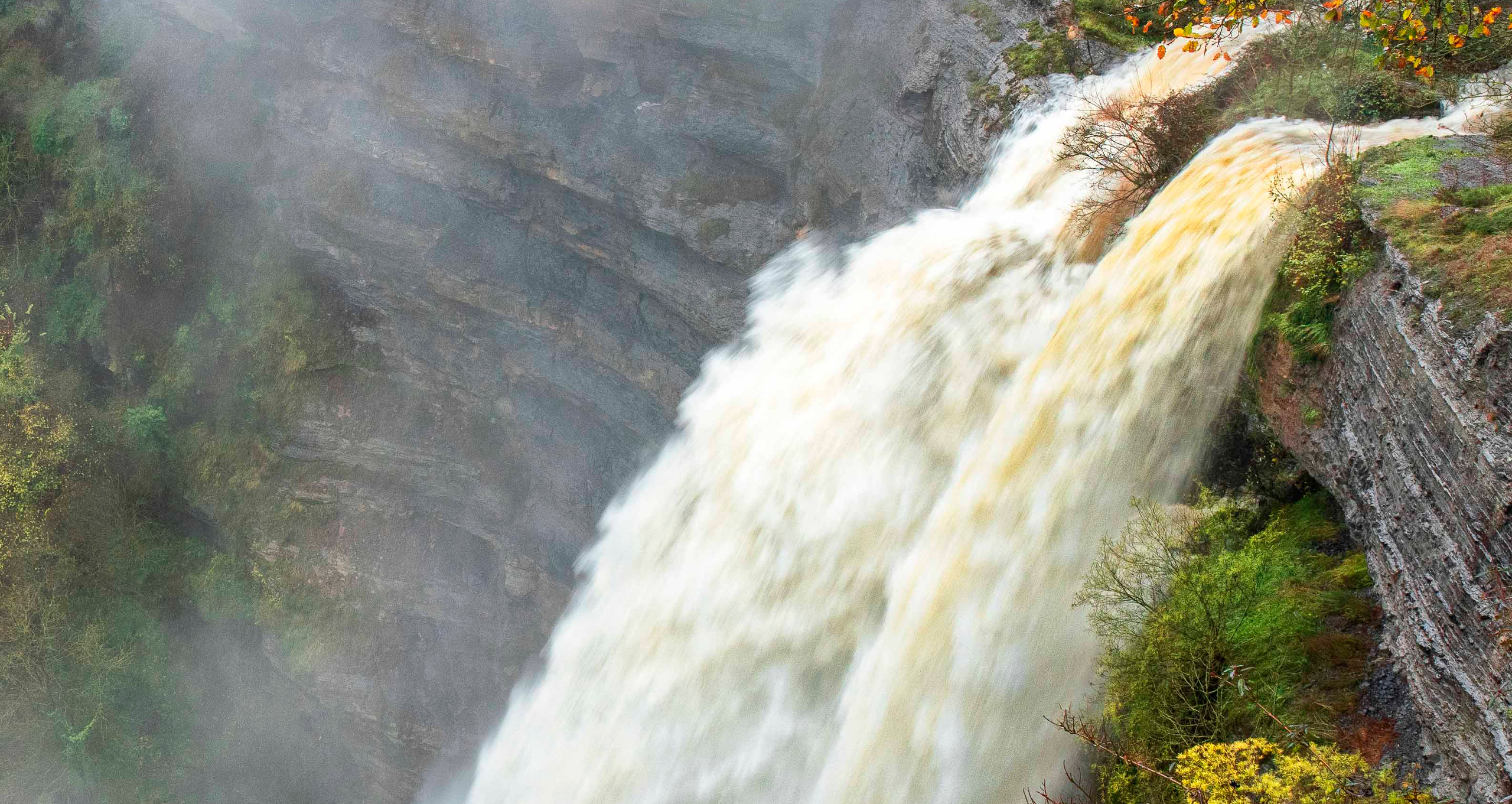 Nerbioiko Ur Jauzia · Antonio Bejarano